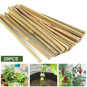20шт Опор для растений Практичные Бамбуковые рамы для лазания по растениям Экологически чистые Овощи Зеленые опоры для растений Аксессуары для двора